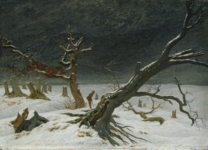 Winterlandschap