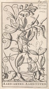 Aardaker door Caspar Luyken