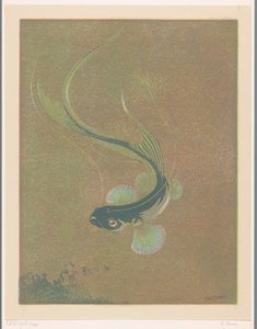 Zwemmende vis door Casper M.L. Kouw (signed by artist)
