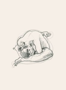 Rustige, opgerolde figuur