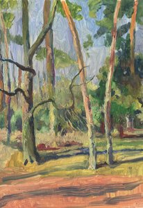 Zonovergoten bospad door Catalina Somolinos