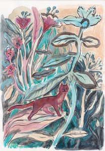 Grappige junglekat door Catalina Somolinos