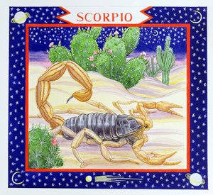 Schorpioen