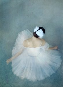 Elegante ballerina Swan door Catherine Wang