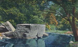 Grote rots, Cherokee Park, 1942 door Caufield and Shook