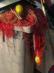 Samenstelling - Netten, 2019 (foto) door Cécile Jamet