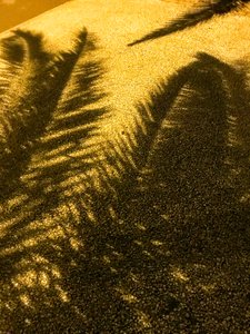 Compositie - Schaduwen, 2021 (foto)