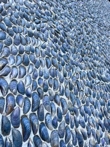 Compositie - Textuur, 2024 (foto)