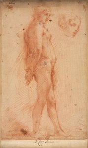 Studie van een Staande Mannelijke Naakt, met een Studie van Hoofd in Driekwart Profiel, ca. 1640