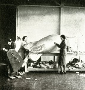 Reparatie van barrageballonnen door Cecil Beaton