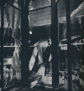 Vitrines in het Natuurhistorisch Museum