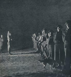De nacht leeft