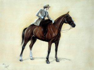 Een elegante ruiter stijgt op een amazone door Cecil Charles Windsor Aldin