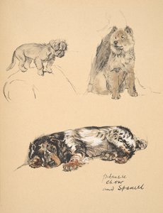 Pekinees, Chow en Spaniel, 1930, Illustraties uit zijn Schetsboek gebruikt voor Just Among Friends, Aldin, Cecil Charles Windsor (1870-1935), later uitgegeven door Eyre and Spottiswoode Limited, 1934