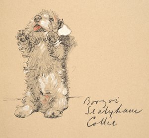 Sealyham, 1930, Illustraties uit zijn schetsboek gebruikt voor Just Among Friends, later gepubliceerd door Eyre en Spottiswoode Limited, 1934 door Cecil Charles Windsor Aldin