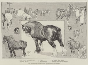 De Shire Horse Show in de Royal Agricultural Hall door Cecil Charles Windsor Aldin