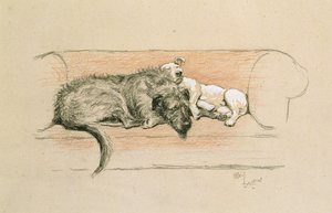 Wolfshond en Bull Terrier Slapend op een Bank