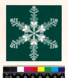 Sneeuwkristallen