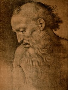 Hoofd van St. Hiëronymus