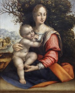 Madonna en Kind (Onze Lieve Vrouw van de Boom)