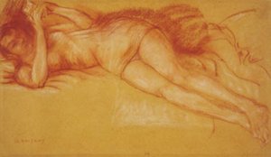Vrouw die in bed leest