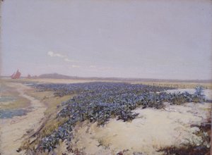 Met bloemen bedekte duinen (olieverf op doek) door Charles Augustus Lasar