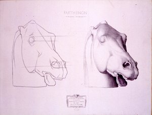 Paardenhoofd van het westelijke fronton van het Parthenon, plaat 47 uit Cours de Dessin, ca. 1898