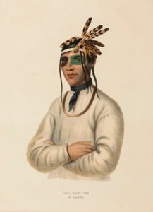 CAA-TOU-SEE. EEN OJIBWAY, uit de Geschiedenis van de Indianenstammen van Noord-Amerika