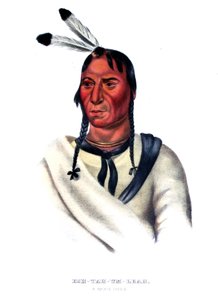 Eshtahumbah (Slaperige Ogen), een Sioux-hoofd door Charles Bird King
