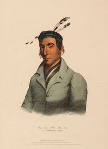 KA-TA-WA-BE-DA. Een CHIPPEWAY CHIEF, uit Geschiedenis van de Indiaanse Stammen van Noord-Amerika door Charles Bird King