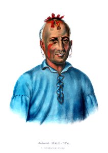Kishkalwa, een Shawnee-hoofdman door Charles Bird King