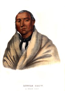 Little Crow, een Sioux-hoofdman