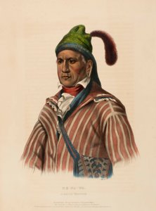 ME-NA-WA. A CREEK WARRIOR, uit History of the Indian Tribes of North America. door Charles Bird King