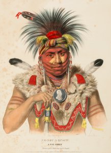 NE-SOU-A-QUOIT. A FOX CHIEF, uit History of the Indian Tribes of North America. door Charles Bird King