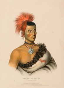 PES-KE-LE-CHA-CO, A PAWNEE CHIEF, uit History of the Indian Tribes of North America. door Charles Bird King