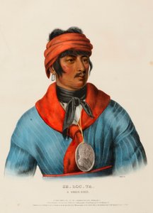 SE-LOC-TA, EEN KREEKHOOFD door Charles Bird King