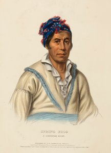 SPRING FROG. Een CHEROKEE CHIEF, uit Geschiedenis van de Indianenstammen van Noord-Amerika door Charles Bird King