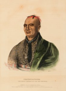 THAYENDANEGEA. DE GROTE KAPITEIN VAN DE ZES VOLKEN, uit de Geschiedenis van de Indianenstammen van Noord-Amerika door Charles Bird King