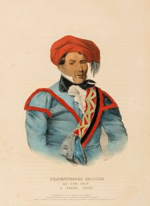 TUSTENNUGGEE EMATHLA, uit Geschiedenis van de Indianenstammen van Noord-Amerika door Charles Bird King