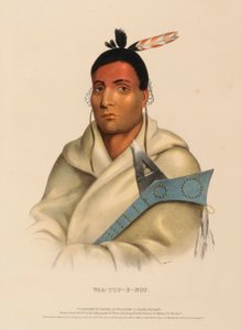 WAA-TOP-E-NOT., uit Geschiedenis van de Indianenstammen van Noord-Amerika door Charles Bird King
