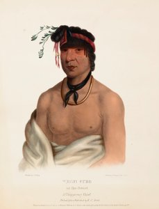 WESH-CUBB. A CHIPPEWAY CHIEF, uit de geschiedenis van de indianenstammen van Noord-Amerika door Charles Bird King