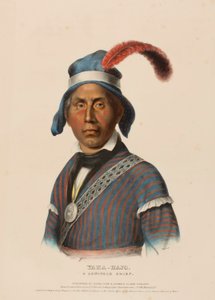 YAHA-HAJO. A SEMINOLE CHIEF, uit History of the Indian Tribes of North America. door Charles Bird King