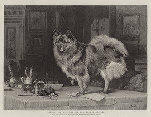 Marco op het ontbijttafel van HM de Koningin door Charles Burton