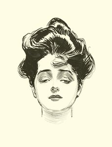 Illustratie voor De Sociale Ladder door Charles Dana Gibson