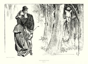De struikrover door Charles Dana Gibson