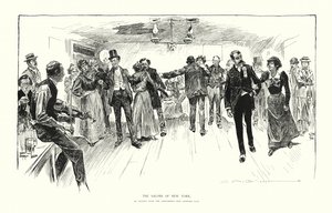 De Salons van New York door Charles Dana Gibson