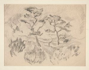 Landschap (Bermuda of Provincetown?) door Charles Demuth