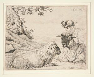 Drie schapen door Charles Echard