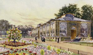Londense Dierentuin: Apenhuis