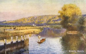 Rivier de Theems: Quarry Woods